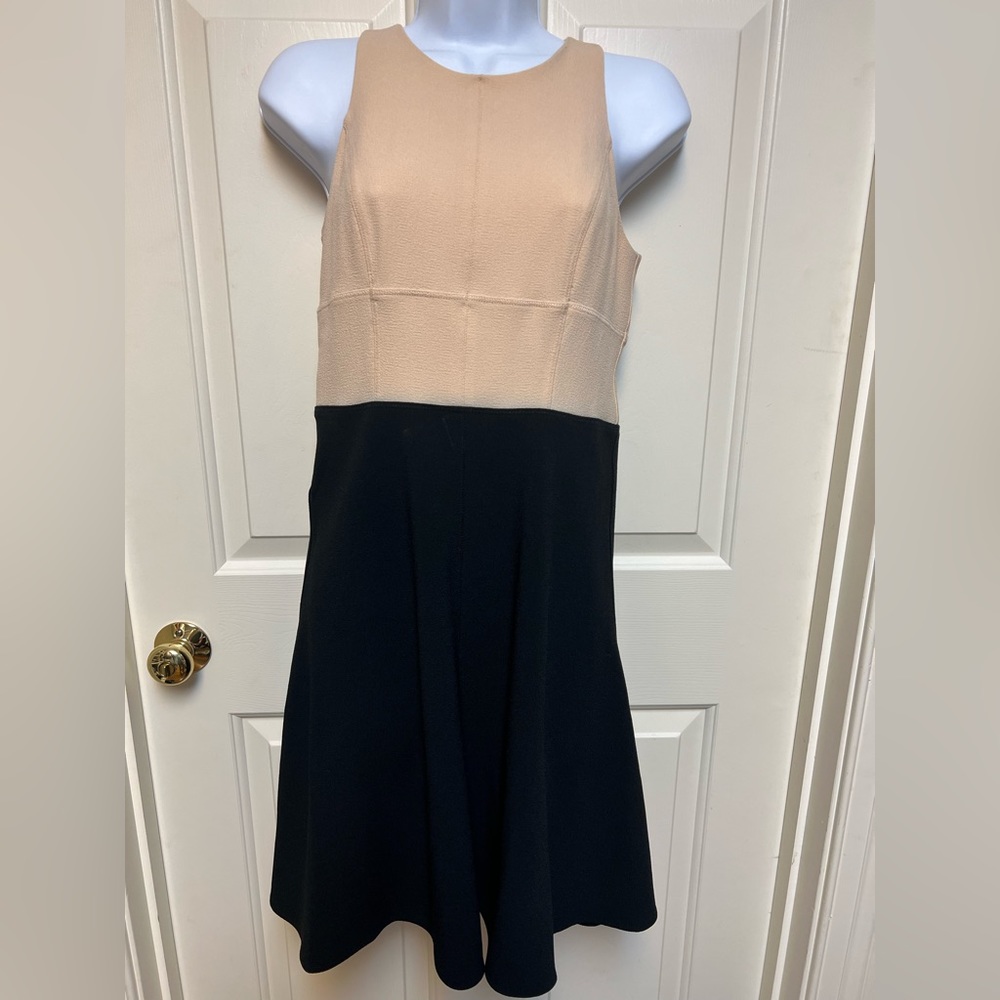 Ann Taylor size 0 ivory and black dress